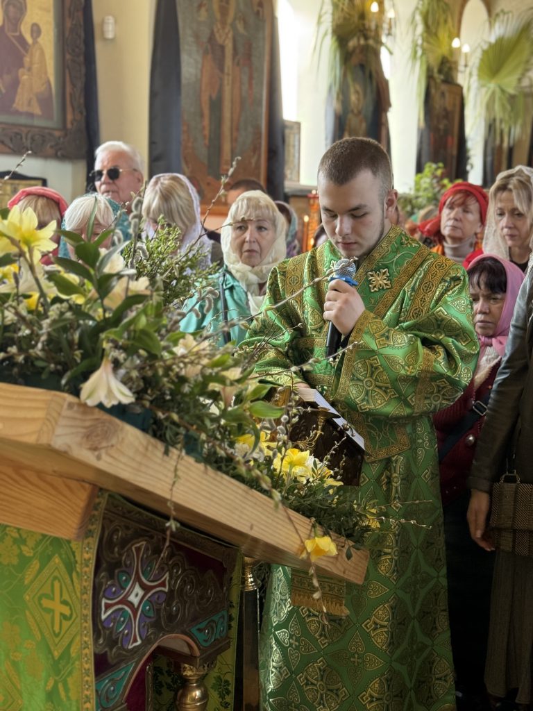 Вхід Господній в Єрусалим.