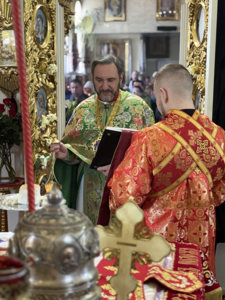4-неділя після Пасхи. Преподобного Феодосія Києво-Печерського ігумена.#17