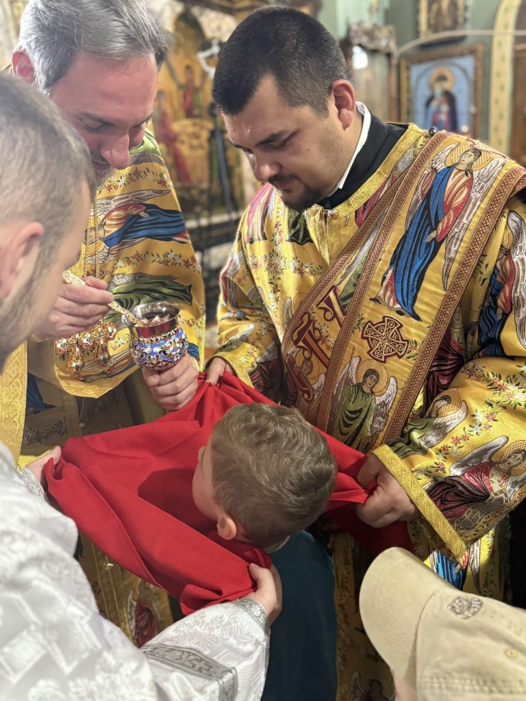 Неділя Всіх Святих землі Української.
