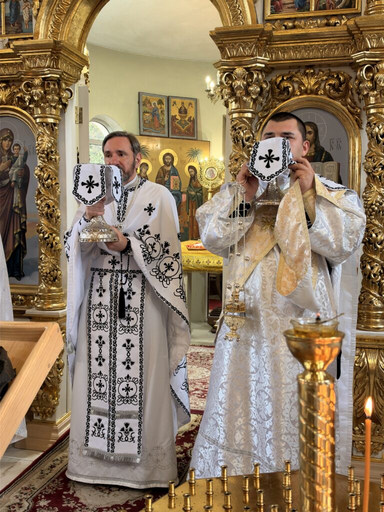 Дмитрівська поминальна субота. Літургія.